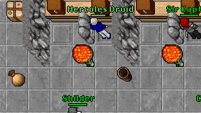 Hercoles Druid on screen