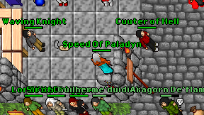 Speed Of Paladyn on screen