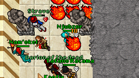 Njubzor on screen