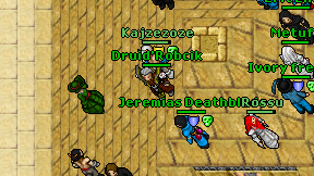 Druid'Robcik on screen