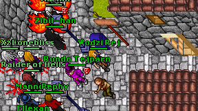 Wodzi Rej on screen