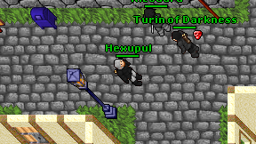 Hexupul on screen
