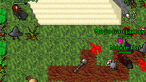 Mojo Ganjamaster on screen