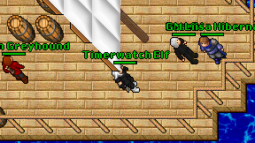 Timerwatch Elf on screen