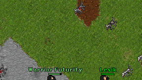 Mazerlander on screen