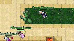 Dark Kintaro on screen