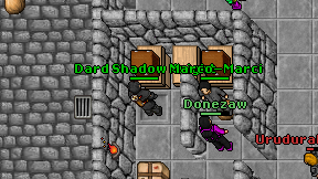 Dard Shadow Knight on screen