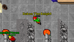 Xukon The Knight on screen
