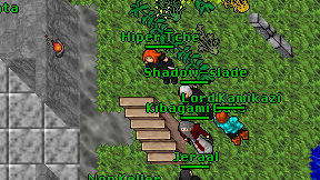 Hiper Tche on screen