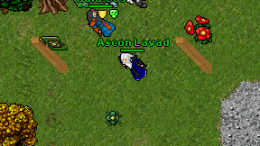 Ascon Lavad on screen