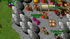 Agamim on screen