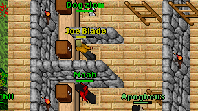 Dog ziom on screen