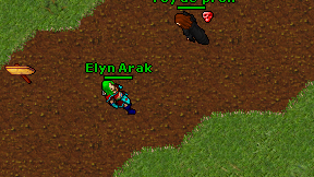 Elyn Arak on screen