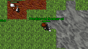 Medieval Samurai on screen