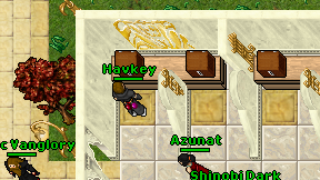 Havkey on screen