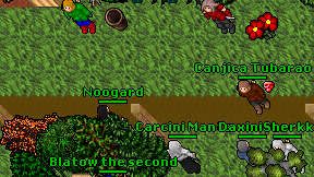 Noogard on screen