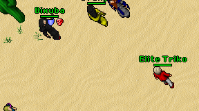 Elite Triko on screen