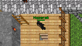 Nazerak on screen