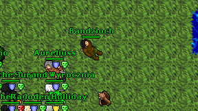 Bandzioch on screen