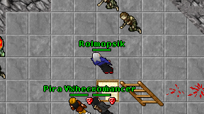 Rolmopsik on screen