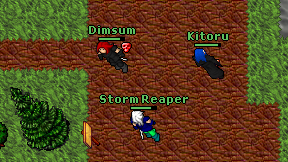 Storm Reaper on screen