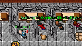 Ashiron Thundermage on screen