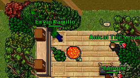 Ervin Kamillo on screen