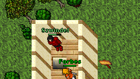 Szwindel on screen