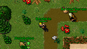 Reshkie on screen