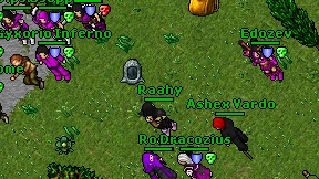 Raahy on screen