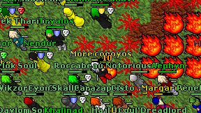 More cogoyos on screen
