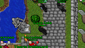 Gaze Xala on screen