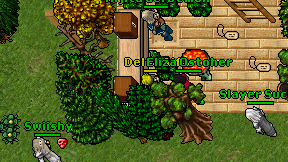 Delfa Alfa on screen