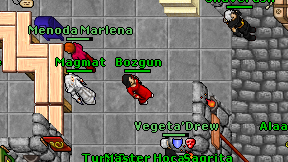 Bozgun on screen
