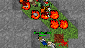 Pachelka on screen