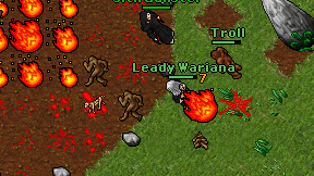 Leady Wariana on screen