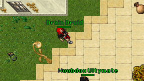 Drain Druid on screen