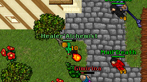 Healer'Alchemist on screen