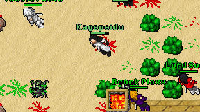 Kagepeidu on screen