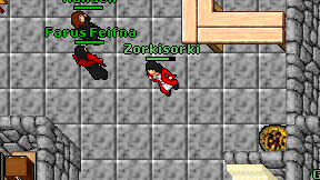 Zorkisorki on screen
