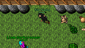 Sir Nano on screen