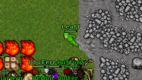 Leaff on screen