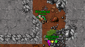 Rivokai on screen