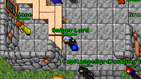 Sniper Lord on screen