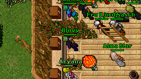 Blovv on screen
