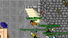 Lion Elver on screen