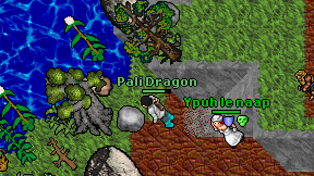 Pali Dragon on screen
