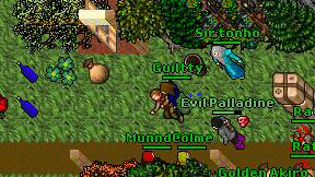 Guiltty on screen