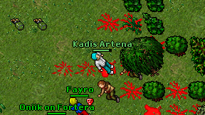 Kadis Artena on screen