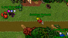Golden Hylash on screen